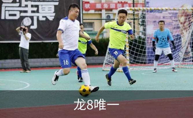 龙8唯一概况